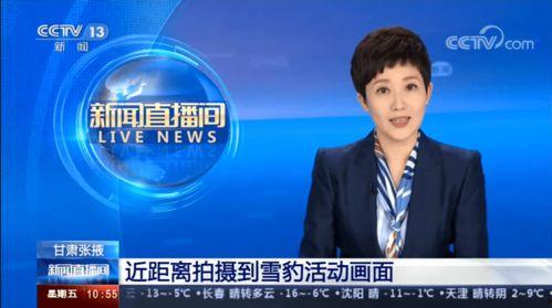 楚雄电视台爆料新闻视频,重大新闻事件深度解析  第3张