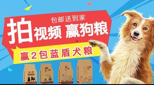 超级狗粮爆料视频大全  第2张