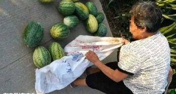 郴州吃瓜最新事件爆料,揭秘背后惊人真相,网络舆论漩涡再起 第3张 郴州吃瓜最新事件爆料,揭秘背后惊人真相,网络舆论漩涡再起 第3张